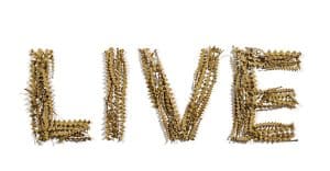20live-600