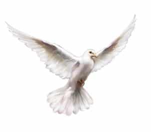 HolySpirit